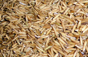 HUMEDAD FABRICACION ARROZ