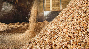 Gránulos de madera