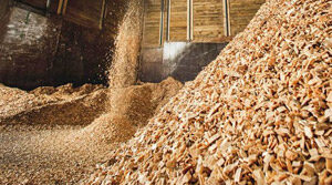 Energy production: Biomass, wood pellets, waste water, carbon